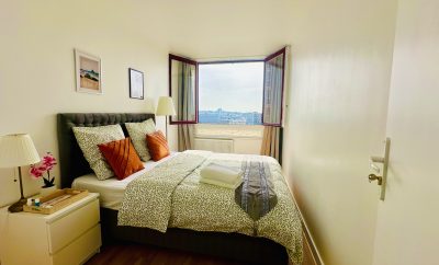 The Aubervilliers Cityscape