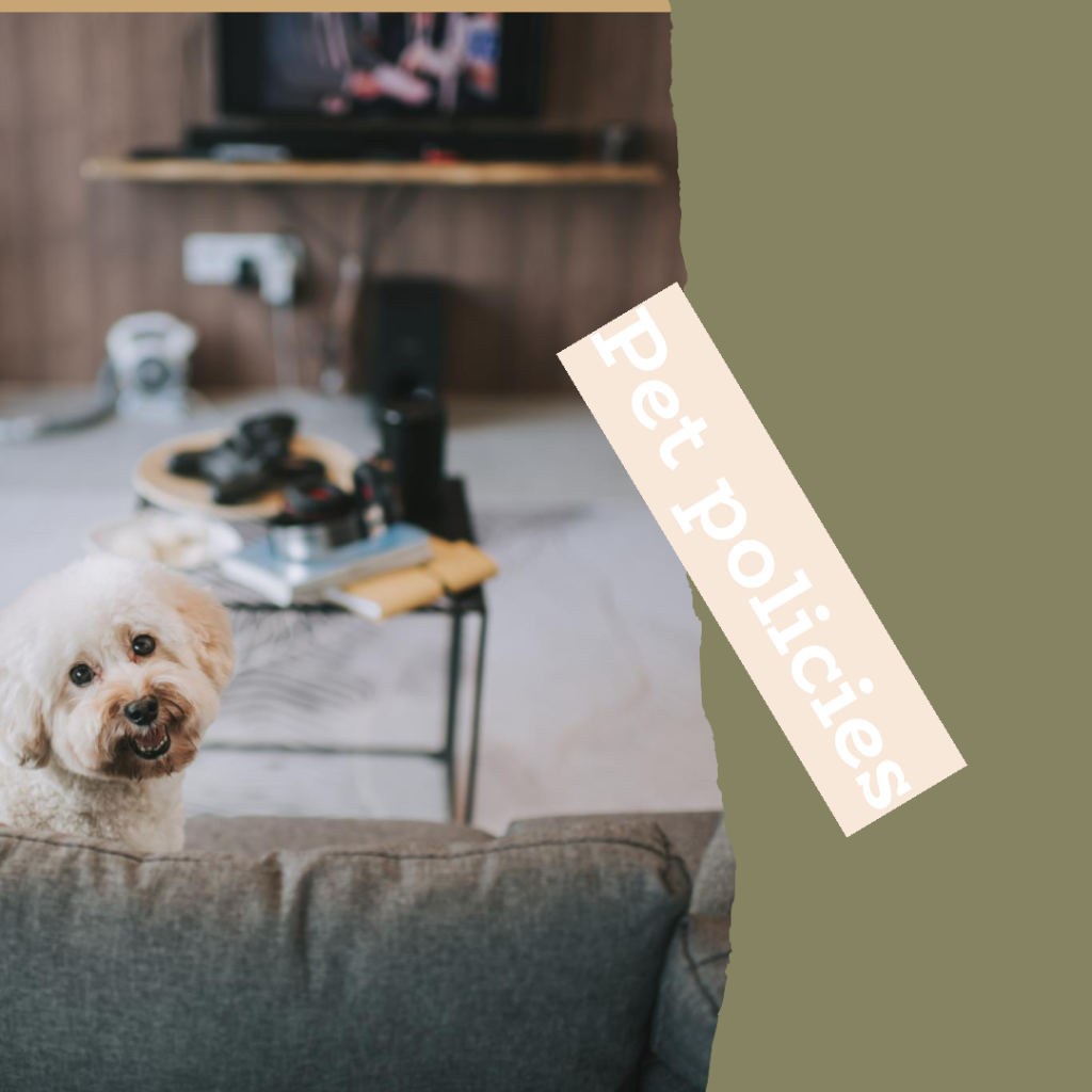 Pet policies for renting an aprtment or room in france paris